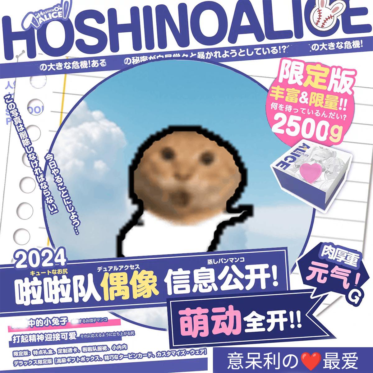 meme fleshlight_hoshino_alice